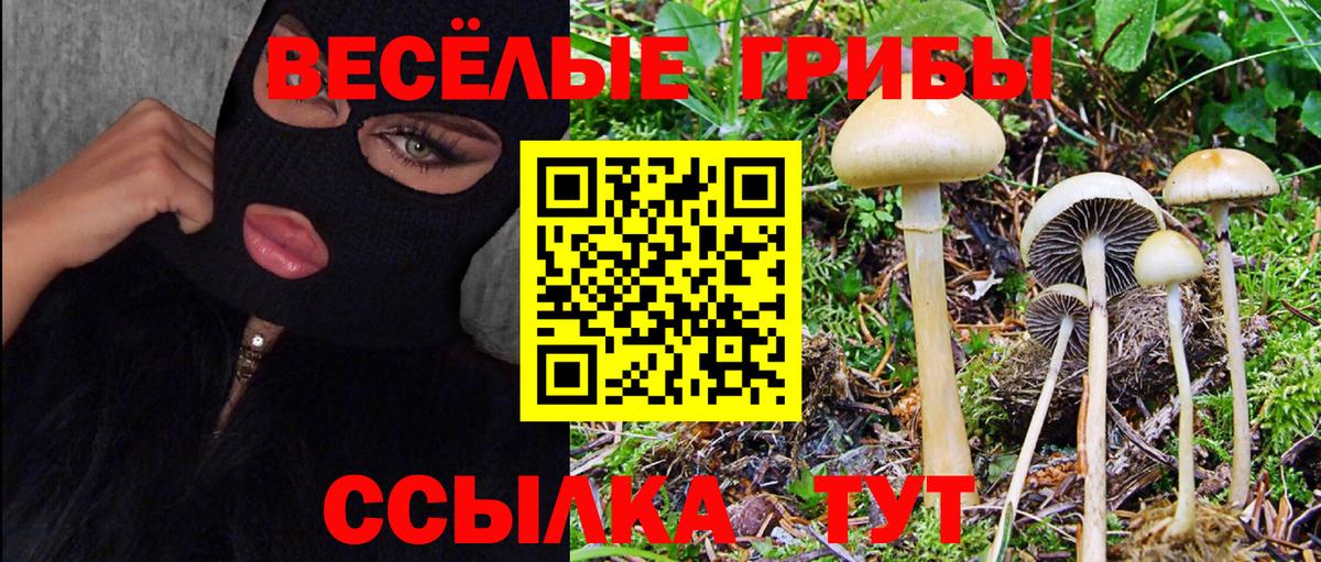 Галлюциногенные грибы Psilocybe  Вход с VPN  Ульяновск  Галлюциногенные грибы Magic Shrooms 