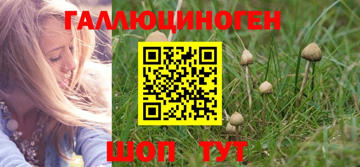 Галлюциногенные грибы мухоморы Ульяновск
